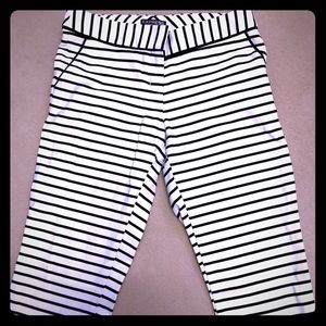 Express Columnist Pants